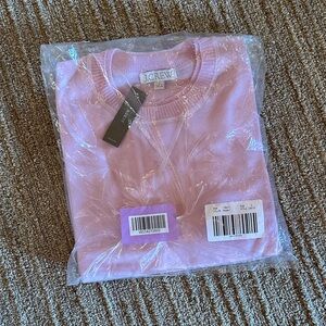 J. Crew Pink 💯 Merino Wool Crewneck Sweater Oversized Lightweight